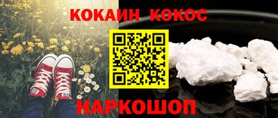 индика Кохма