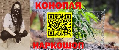 индика Кохма