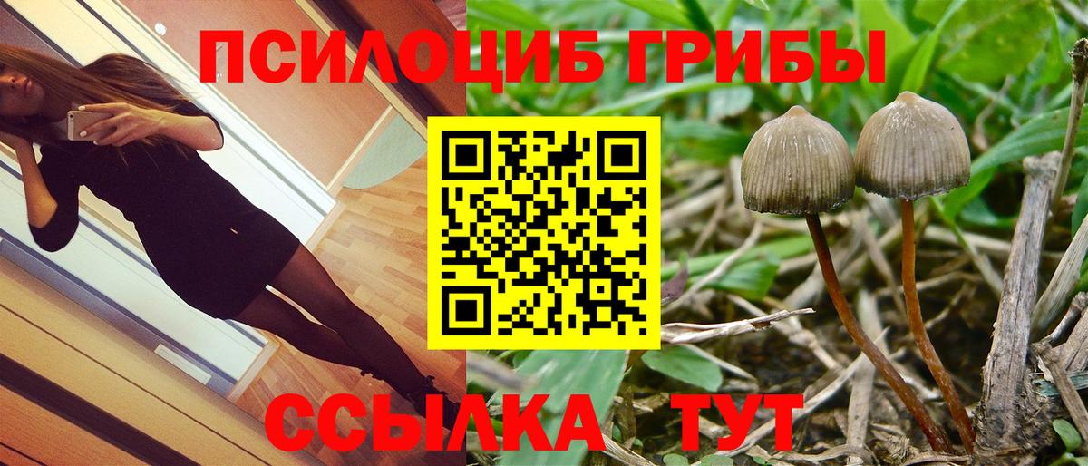Псилоцибиновые грибы Psilocybine cubensis  Галлюциногенные грибы ЛСД  Гудермес  где найти наркотики  Вход с VPN 